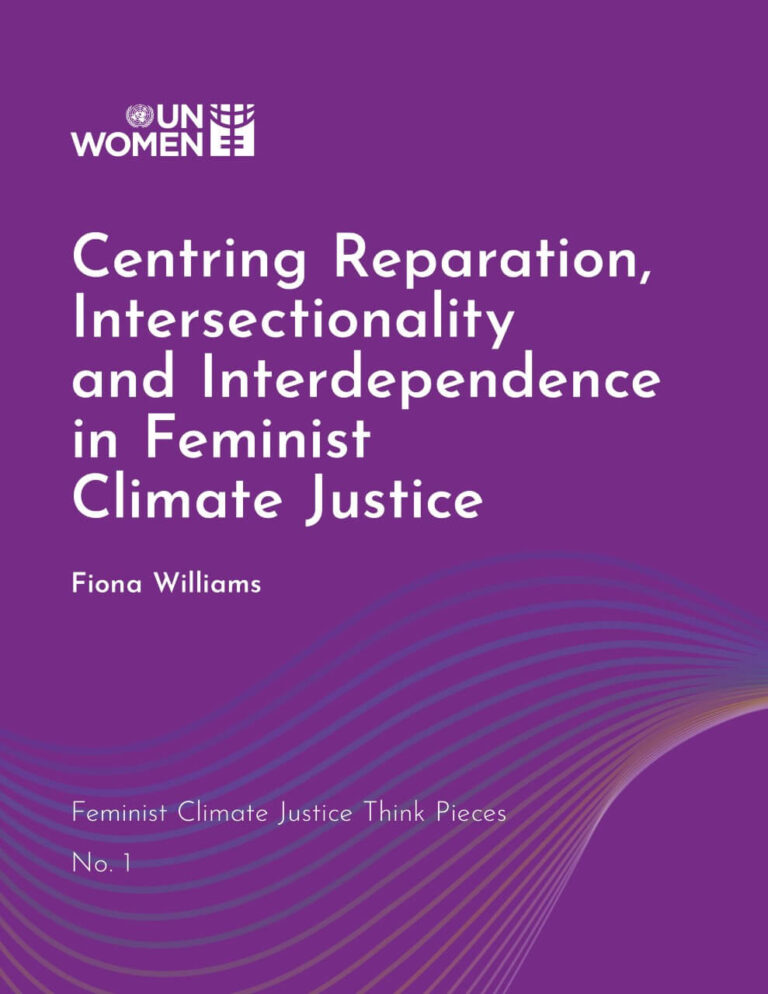 Feminist Climate Justice: Ideas for a Sustainable Future