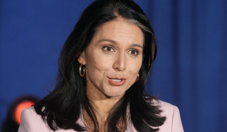 Tulsi Gabbard Critiques Kamala Harris on Silent Transition Issues